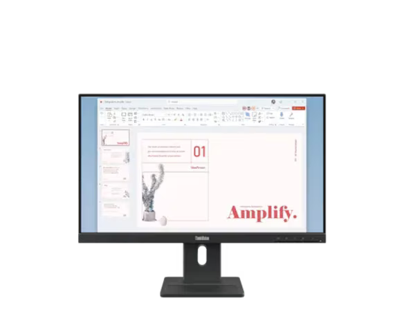 Lenovo ThinkVision E24-40 23.8" Monitor
